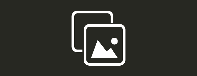 Page not found – American Kennel Club